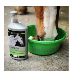 Equistro Sekrosan Liquid 1000ml, Добавка Эквистро для лошадей для поддержки дыхательной системы, натуральные травы и антисептики 1л