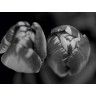 CALVENDO Puzzle CALVENDO Puzzle Nahaufnahme Fruhlingstulpen in schwarzweiss Пазл CALVENDO Puzzle Крупный план весенних тюльпанов в черно-белом цвете