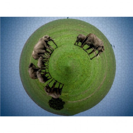 CALVENDO Puzzle CALVENDO Puzzle Der Planet der Elefanten Пазл CALVENDO Puzzle Планета слонов