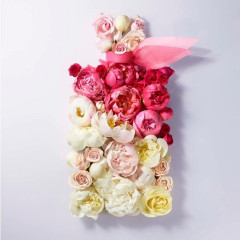 Lancome En Rose  Эн Роуз