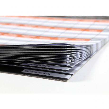 Denkriesen STADT LAND VOLLPFOSTEN Мыслящие гиганты STADT LAND VOLLPFOSTEN