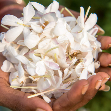 Weleda Aroma Shower Relax Gel Ароматический гель для душа Weleda для расслабления 200мл