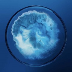 Biotherm Black Mask Черная маска