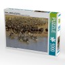 CALVENDO Puzzle CALVENDO Puzzle Zebras....Wildlife am Marafluss Пазл CALVENDO Puzzle Zebras....Дикая природа на реке Мара