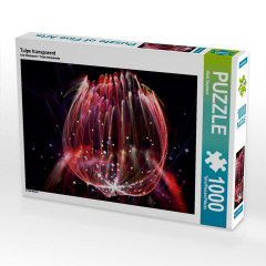 CALVENDO Puzzle CALVENDO Puzzle Tulpe transparent Пазл CALVENDO Puzzle Тюльпан прозрачный