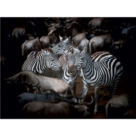 CALVENDO Puzzle CALVENDO Puzzle Emotionale Momente: Die grosse Gnuwanderung Пазл CALVENDO Puzzle Эмоциональные моменты: Великая миграция антилоп гну