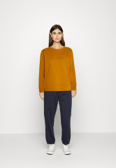 Tommy Hilfiger HIGH SHINE Sweatshirt crest gold HIGH SHINE Толстовка герб золото