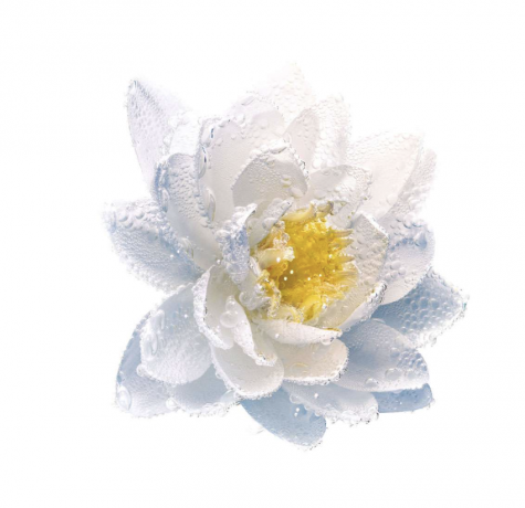 DIOR REINIGUNG AUGEN- UND LIPPEN-MAKE-UP-ENTFERNER Средство для снятия макияжа с глаз и губ , 125 мл