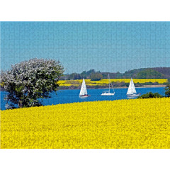 CALVENDO Puzzle CALVENDO Puzzle Ostseefjord Schlei Пазл CALVENDO Puzzle Восточный фьорд Schlei