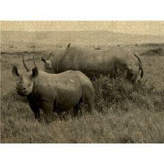 CALVENDO Puzzle CALVENDO Puzzle Masai Mara Nashorner Пазл CALVENDO Пазл Masai Mara Rhino