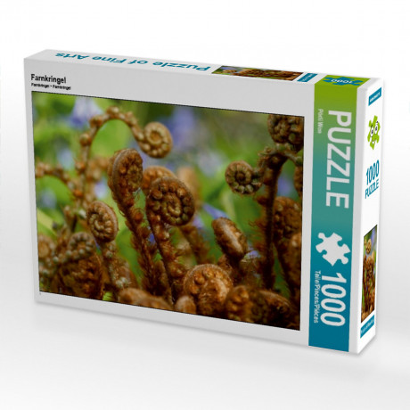 CALVENDO Puzzle CALVENDO Puzzle Farnkringel Пазл CALVENDO Пазл Папоротник круги