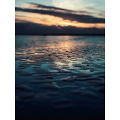 CALVENDO Puzzle CALVENDO Puzzle Leuchtende Farben im Watt Пазл CALVENDO Puzzle Светящиеся цвета в грязи