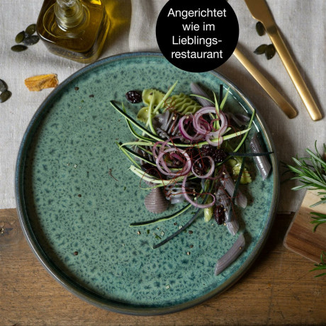 Moritz & Moritz Moritz & Moritz Speiseteller 4-tlg. REACTIV grun Обеденные тарелки Moritz &amp; Moritz 4 шт. РЕАКТИВНЫЙ