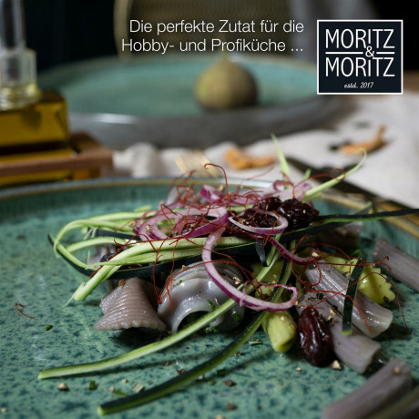 Moritz & Moritz Moritz & Moritz Speiseteller 4-tlg. REACTIV grun Обеденные тарелки Moritz &amp; Moritz 4 шт. РЕАКТИВНЫЙ