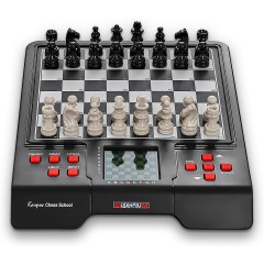 Karpov Schachschule шахматная школа Карпова