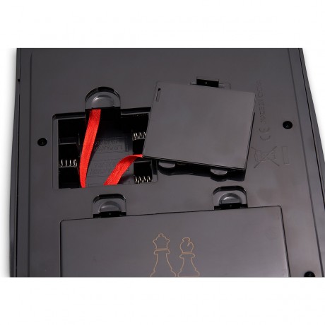 Karpov Schachschule шахматная школа Карпова