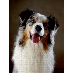 CALVENDO Puzzle CALVENDO Puzzle Cash Пазл CALVENDO Пазл Кэш