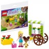 LEGO Friends 3er Set: 30413 Blumenwagen - Polybag + 30414 Emmas Zaubertruhe - Polybag + 30411 Pralinenschachtel Blume - Polybag Набор друзей из 3 штук: 30413 цветочная тележка - полиэтиленовый пакет + 30414 Волшебный сундук Эммы - полиэтиленовый пакет +