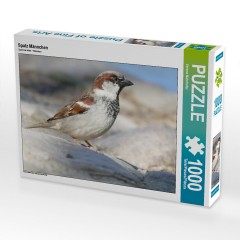 CALVENDO Puzzle CALVENDO Puzzle Spatz Mannchen Пазл CALVENDO Пазл Воробей