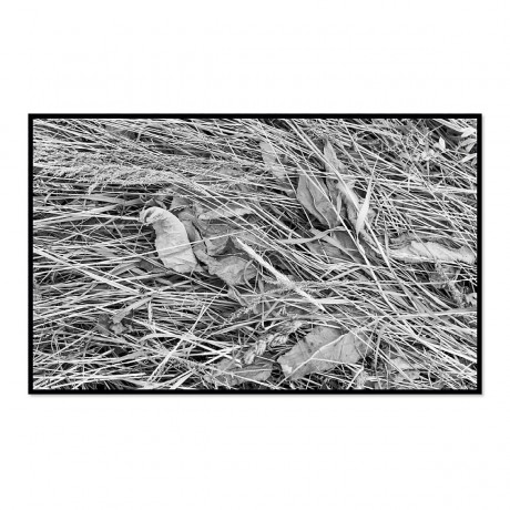 CALVENDO Puzzle CALVENDO Puzzle Emotionale Momente: Black  White Fineart Пазл CALVENDO Puzzle Emotional Moments: Black White Fine Art