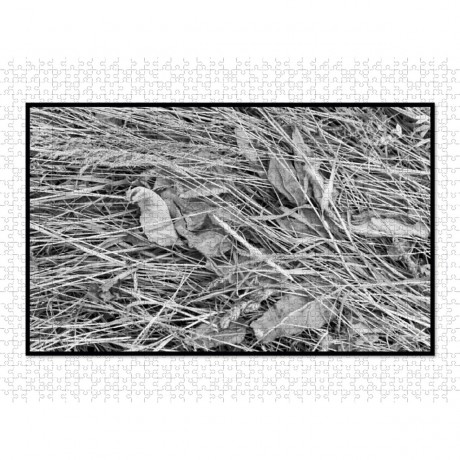 CALVENDO Puzzle CALVENDO Puzzle Emotionale Momente: Black  White Fineart Пазл CALVENDO Puzzle Emotional Moments: Black White Fine Art