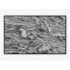 CALVENDO Puzzle CALVENDO Puzzle Emotionale Momente: Black  White Fineart Пазл CALVENDO Puzzle Emotional Moments: Black White Fine Art