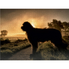 CALVENDO Puzzle CALVENDO Puzzle Briard im Sonnenaufgang Пазл CALVENDO Puzzle Бриар на рассвете