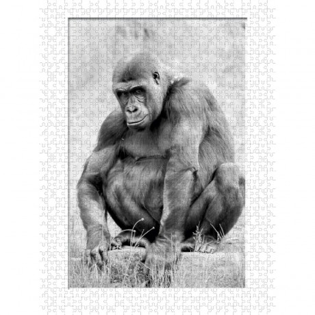 CALVENDO Puzzle CALVENDO Puzzle Emotionale Momente: Gorillas in black white \/ CH-Version Пазл CALVENDO Puzzle Эмоциональные моменты: гориллы в черно-белом / Швейцарская версия