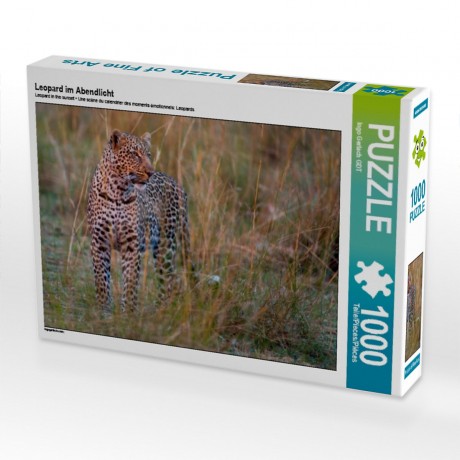 CALVENDO Puzzle CALVENDO Puzzle Leopard im Abendlicht Пазл CALVENDO Puzzle Леопард в вечернем свете