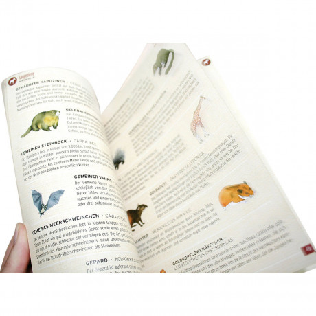 HUCH! Fauna фауна