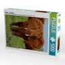CALVENDO Puzzle CALVENDO Puzzle Elefant....auf Safari Пазл CALVENDO Puzzle слон....на сафари