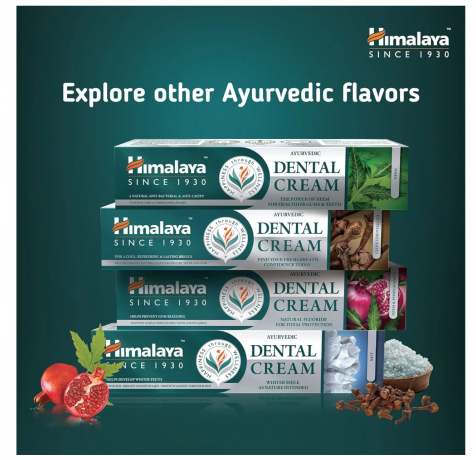 Himalaya Ayurvedic Dental Cream Neem & Pomegranate 100g, Зубная паста аюрведическая, с нимом и гранатом, защита зубов и дёсен, против налёта, свежесть дыхания, 100 г
