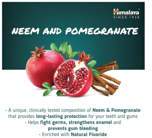 Himalaya Ayurvedic Dental Cream Neem & Pomegranate 100g, Зубная паста аюрведическая, с нимом и гранатом, защита зубов и дёсен, против налёта, свежесть дыхания, 100 г