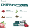 Himalaya Ayurvedic Dental Cream Neem & Pomegranate 100g, Зубная паста аюрведическая, с нимом и гранатом, защита зубов и дёсен, против налёта, свежесть дыхания, 100 г