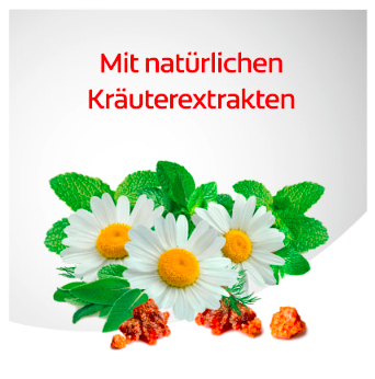 Dentagard Zahnpasta Kräuter Дентагард Зубная паста с травами 75мл