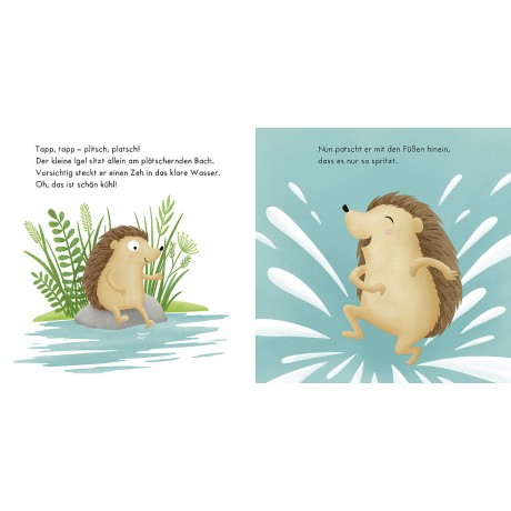 Sauerlander Verlag Naturbuch: Igelchen findet Freunde Книга о природе: маленький ежик находит друзей