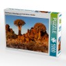 CALVENDO Puzzle CALVENDO Puzzle Kocherbaum im Abendlicht in der Namib Wuste in Namibia Пазл CALVENDO Пазл Кохербаум в вечернем свете в пустыне Намиб в Намибии