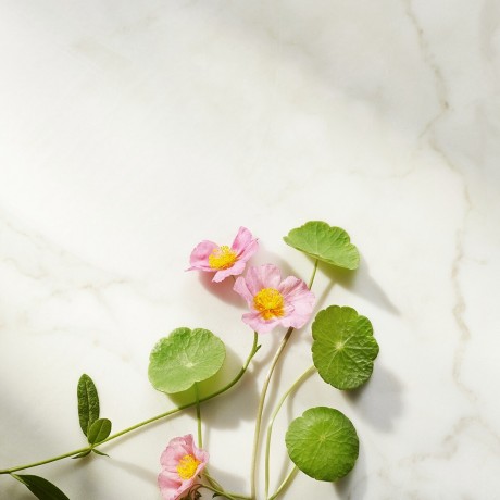 Rituals Ageless Firming Day Cream  Укрепляющий дневной крем Ageless