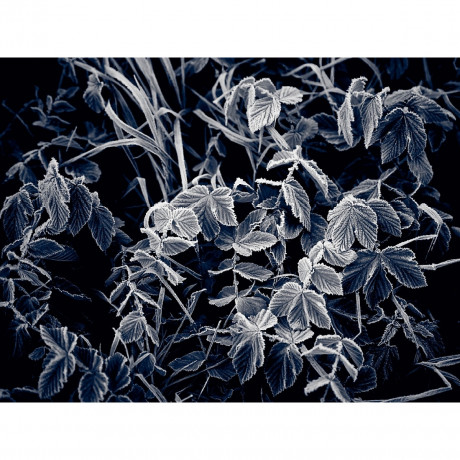 CALVENDO Puzzle CALVENDO Puzzle Emotionale Momente: Mein Trauerjahr Пазл CALVENDO Puzzle Эмоциональные моменты: Год моей скорби