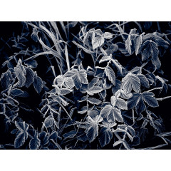 CALVENDO Puzzle CALVENDO Puzzle Emotionale Momente: Mein Trauerjahr Пазл CALVENDO Puzzle Эмоциональные моменты: Год моей скорби