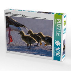 CALVENDO Puzzle CALVENDO Puzzle Emotionale Momente: Die Graugans. Пазл CALVENDO Пазл Эмоциональные моменты: Серый гусь.