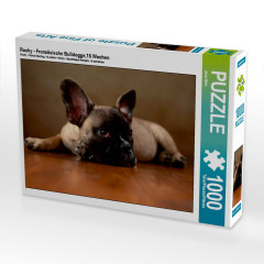 CALVENDO Puzzle CALVENDO Puzzle Rocky Пазл CALVENDO Puzzle Рокки