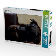 CALVENDO Puzzle CALVENDO Puzzle Lanakila Пазл CALVENDO Пазл Ланакила