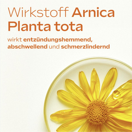 Weleda Arnika-Salbe 10%, 70 g, Мазь с арникой 10% для наружного применения при ушибах и растяжениях, 70 г