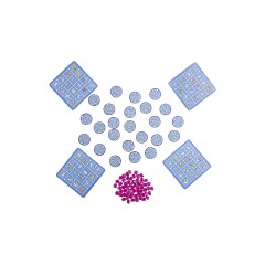 Haba HABA 303647 Einhorn Glitzergluck HABA 303647 Глиттер Глюк Единорог