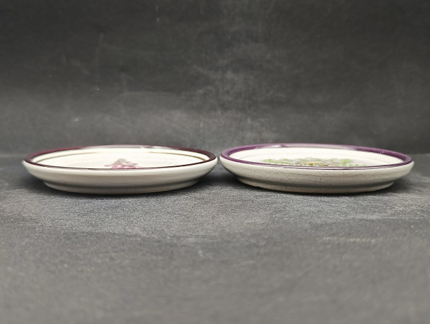 Набор декоративных винтажных тарелок Plantorgan с ботаническом декором "Carlina Acaulis, Digitalis Purperea", в стиле майолика, 3 шт., кракелюр, фарфор, 11 см, Германия, 1960-70гг.