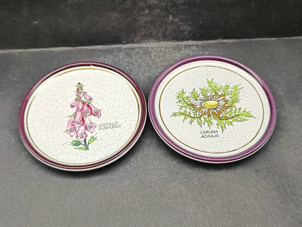 Набор декоративных винтажных тарелок Plantorgan с ботаническом декором "Carlina Acaulis, Digitalis Purperea", в стиле майолика, 3 шт., кракелюр, фарфор, 11 см, Германия, 1960-70гг.