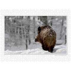 CALVENDO Puzzle CALVENDO Puzzle Emotional Moment: Die Eber. UK-Version Пазл CALVENDO Пазл Эмоциональный момент: Кабаны. версия для Великобритании