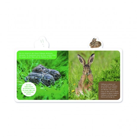 Mein kleines Tier-Lexikon Моя маленькая энциклопедия животных