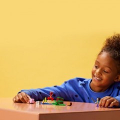 LEGO LEGO Minecraft 21177 Der Hinterhalt des Creeper LEGO Minecraft 21177 Засада Крипера